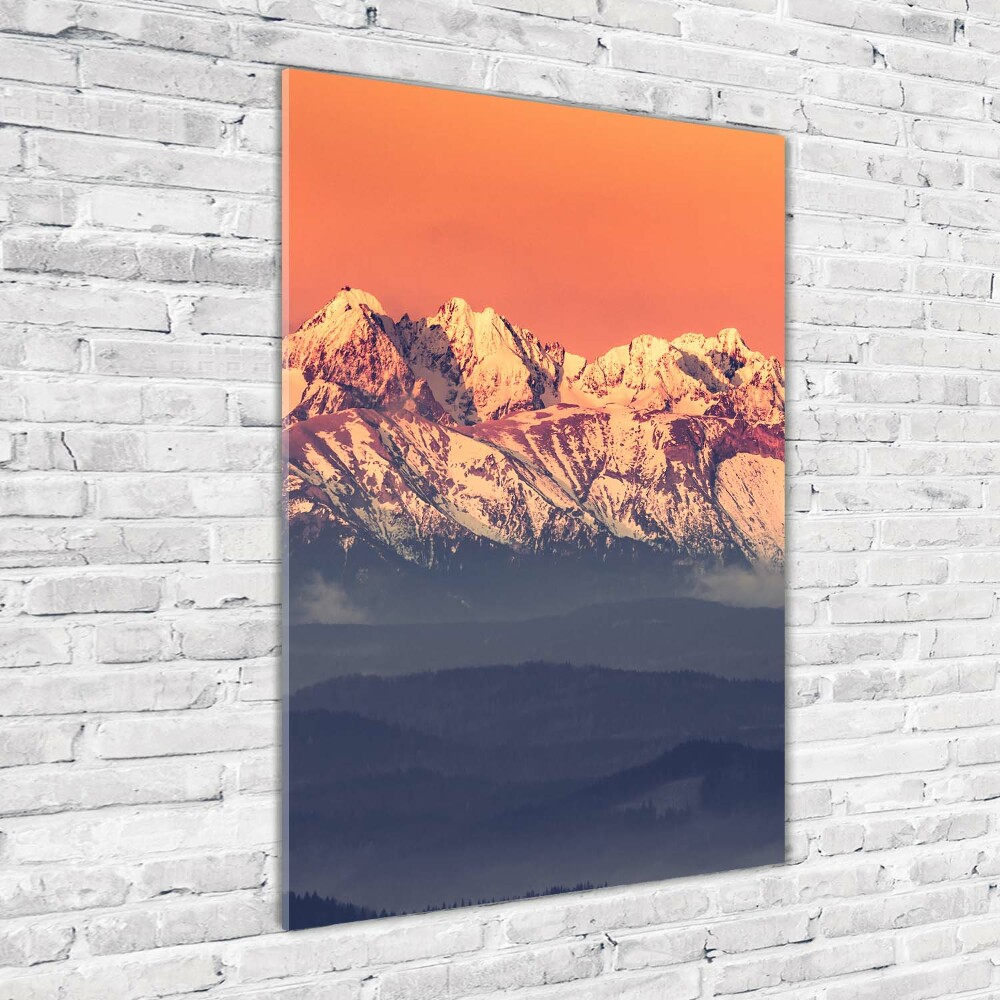 Foto obraz zdjęcie na szkle pionowy Panorama Tatry