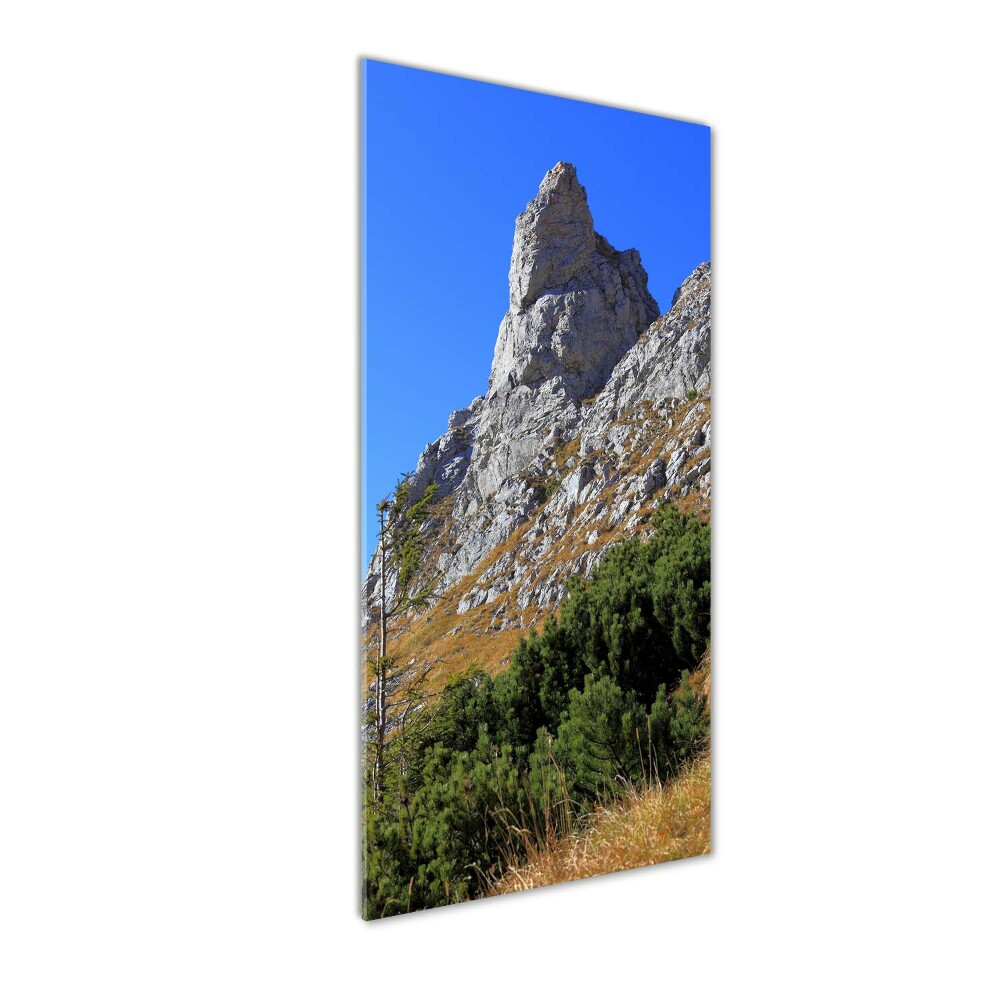 Foto obraz na szkle pionowy mały Giewont Tatry