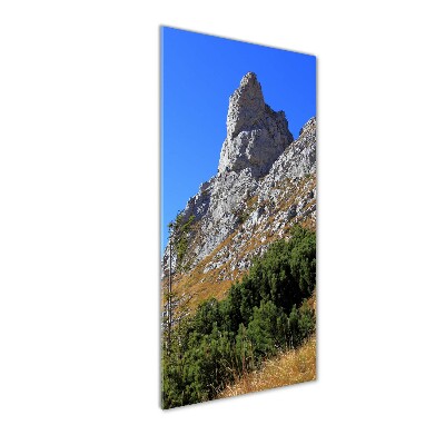 Foto obraz na szkle pionowy mały Giewont Tatry