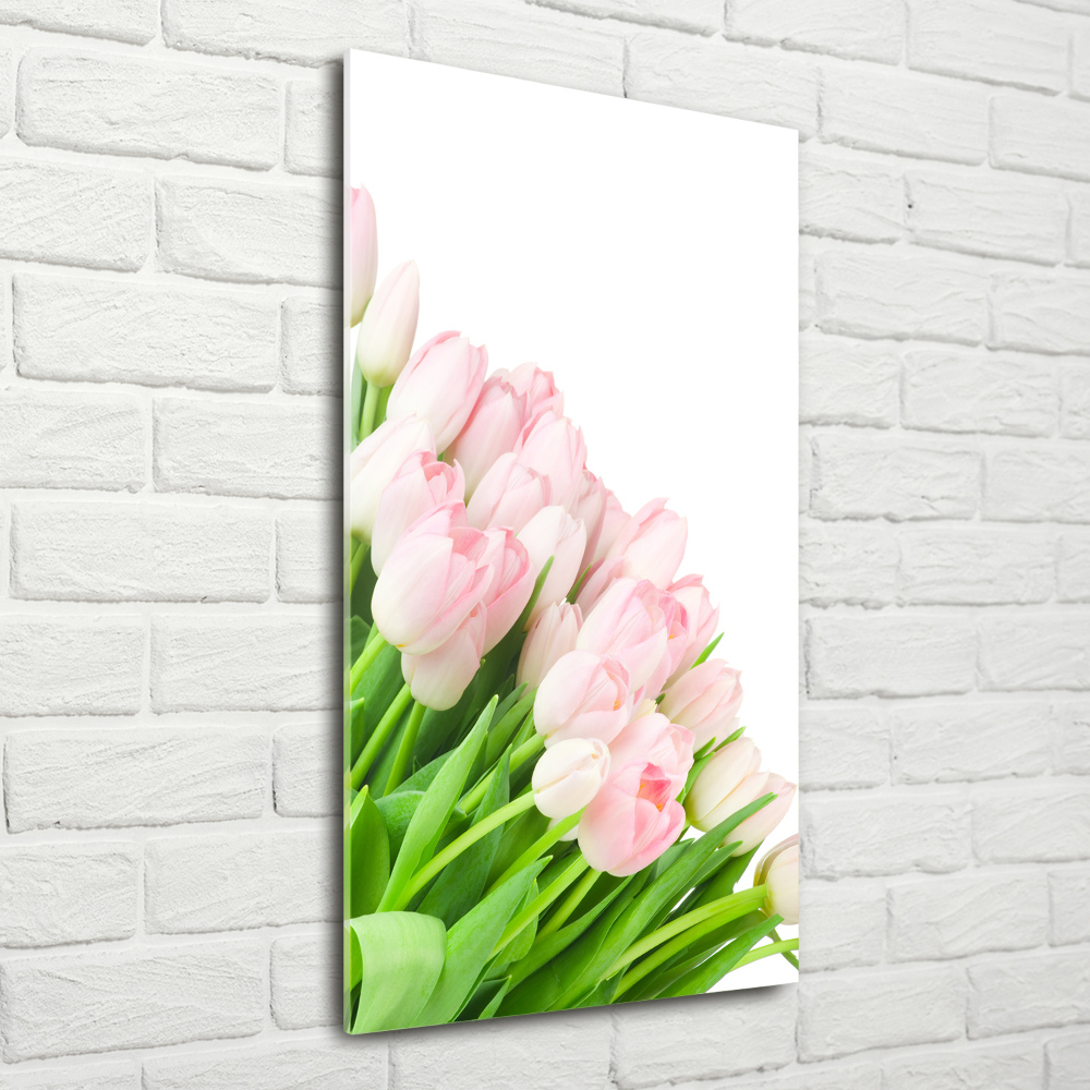 Foto obraz na szkle pionowy Różowe tulipany