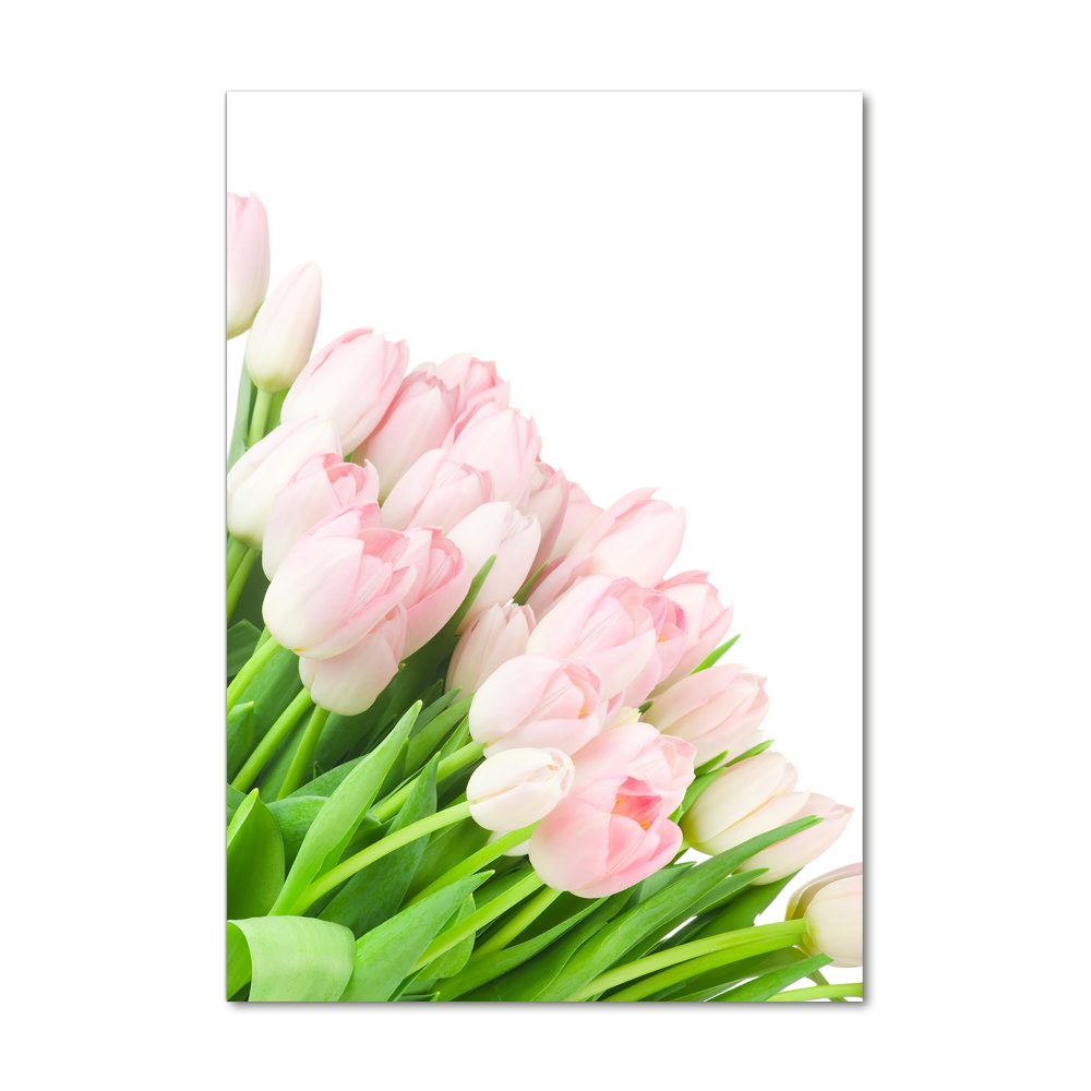 Foto obraz na szkle pionowy Różowe tulipany