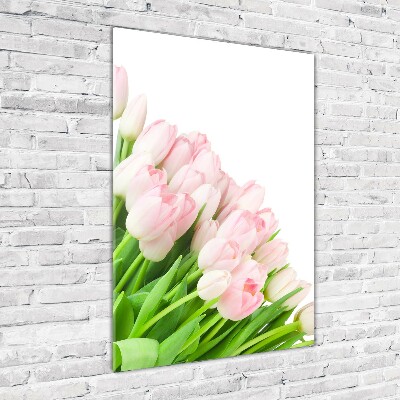 Foto obraz na szkle pionowy Różowe tulipany