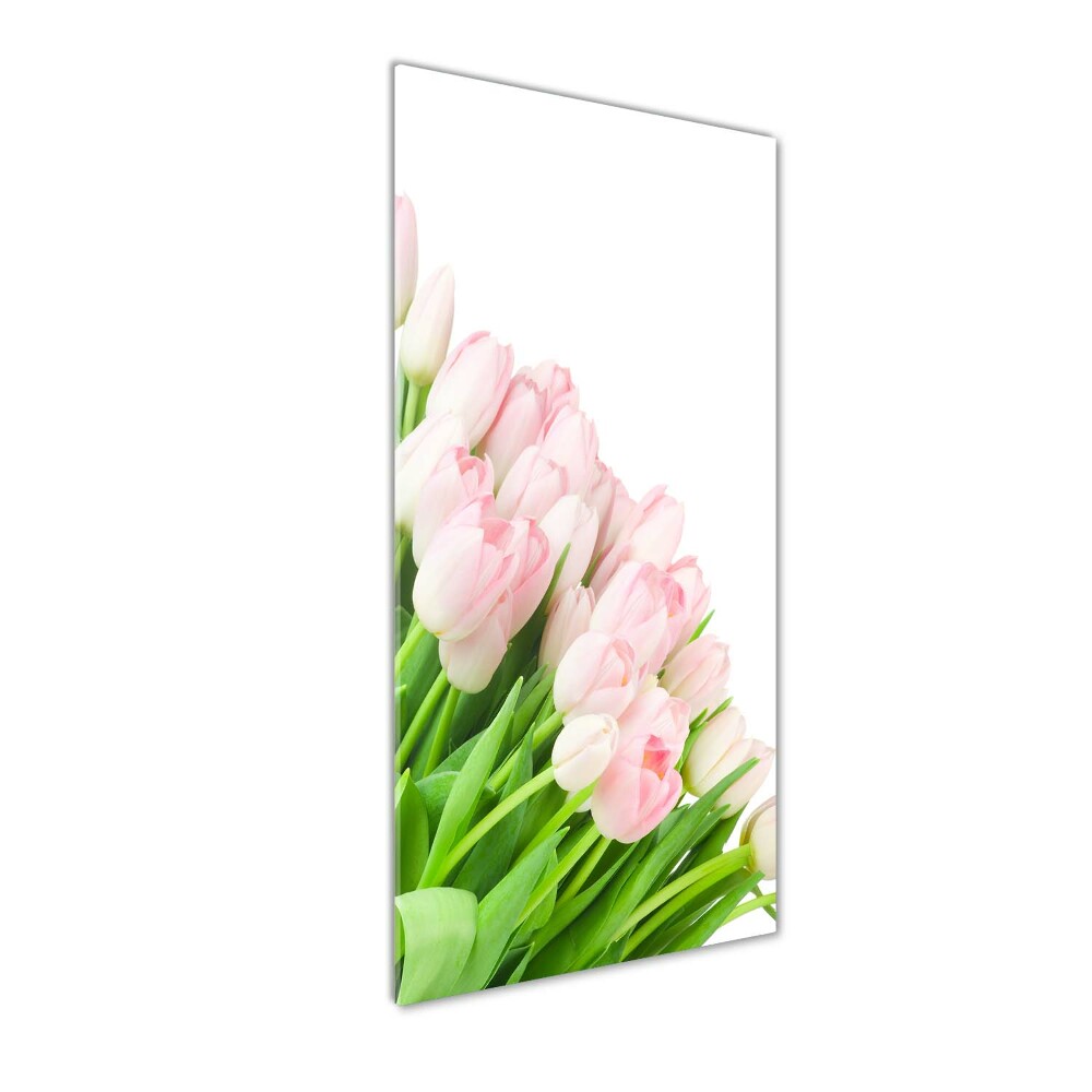 Foto obraz na szkle pionowy Różowe tulipany
