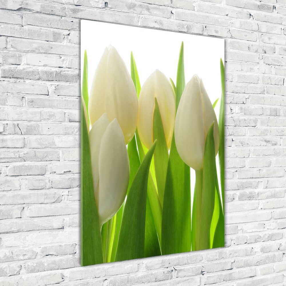 Foto obraz zdjęcie na szkle pionowy Białe tulipany