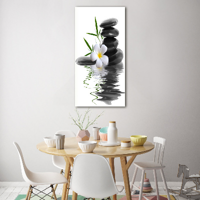 Foto obraz na szkle pionowy Orchidea i kamienie