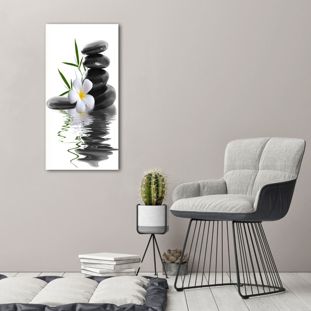 Foto obraz na szkle pionowy Orchidea i kamienie