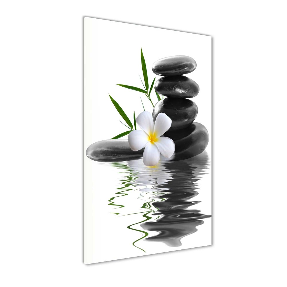 Foto obraz na szkle pionowy Orchidea i kamienie