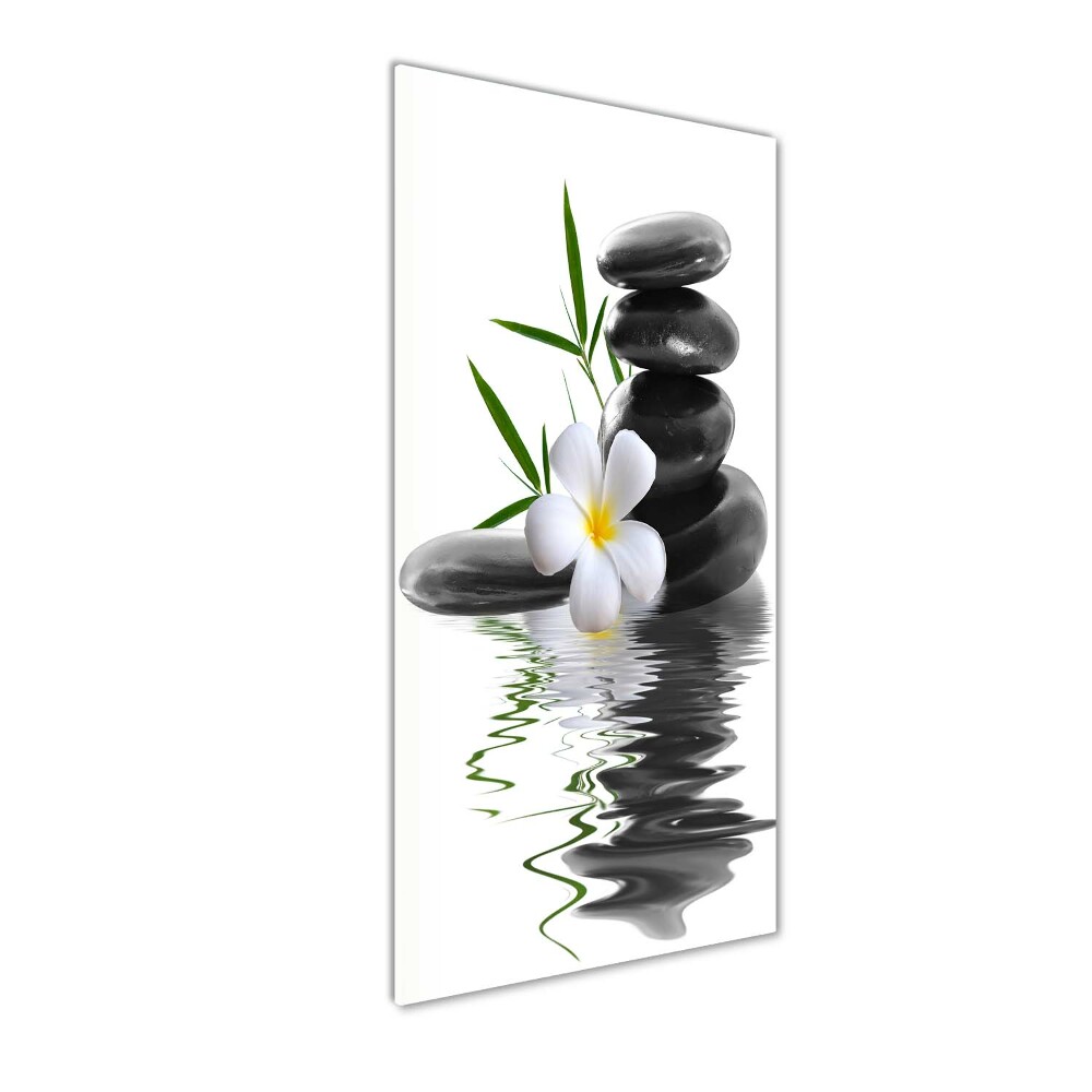 Foto obraz na szkle pionowy Orchidea i kamienie