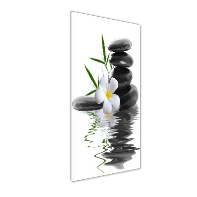 Foto obraz na szkle pionowy Orchidea i kamienie