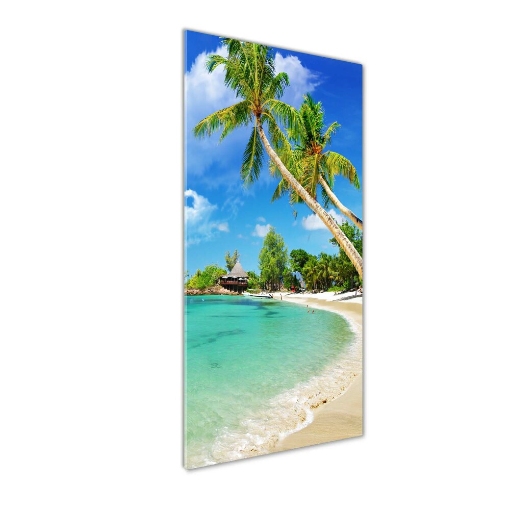 Foto obraz szklany pionowy Tropikalna plaża