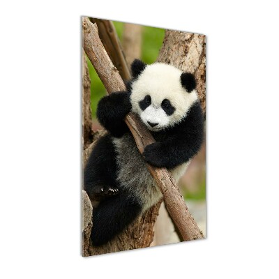 Foto obraz szklany pionowy Panda na drzewie