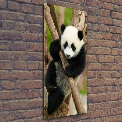 Foto obraz szklany pionowy Panda na drzewie
