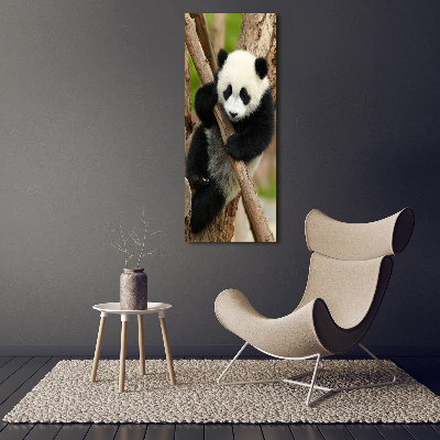 Foto obraz szklany pionowy Panda na drzewie