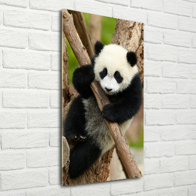 Foto obraz szklany pionowy Panda na drzewie