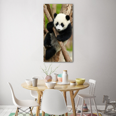 Foto obraz szklany pionowy Panda na drzewie