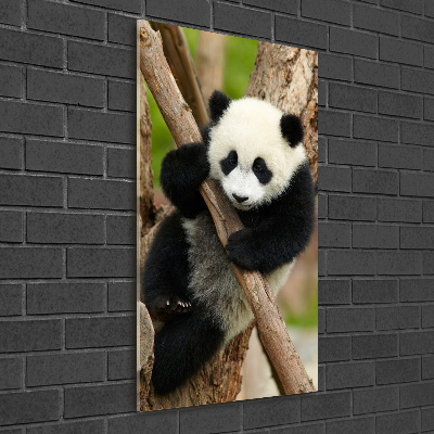 Foto obraz szklany pionowy Panda na drzewie