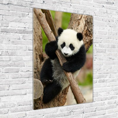 Foto obraz szklany pionowy Panda na drzewie