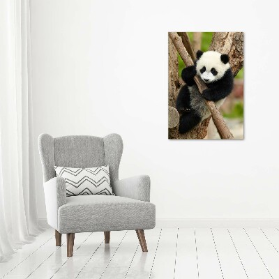Foto obraz szklany pionowy Panda na drzewie