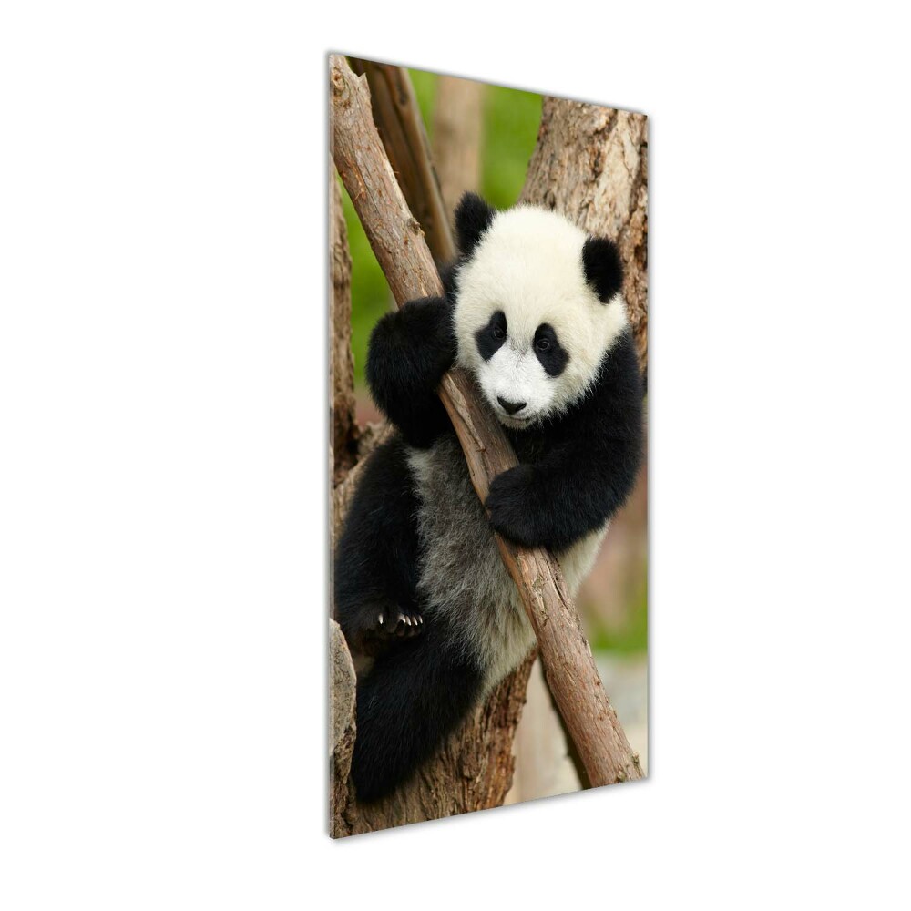 Foto obraz szklany pionowy Panda na drzewie
