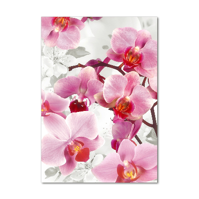 Foto obraz na szkle pionowy Różowa orchidea