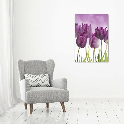 Foto obraz na szkle pionowy Fioletowe tulipany