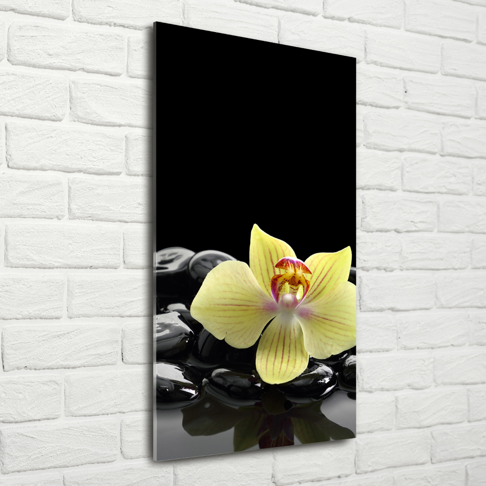 Foto obraz na szkle pionowy Orchidea i kamienie