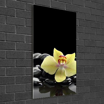 Foto obraz na szkle pionowy Orchidea i kamienie