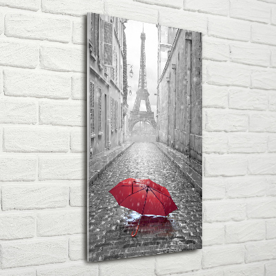 Foto obraz na szkle pionowy Parasol Francja