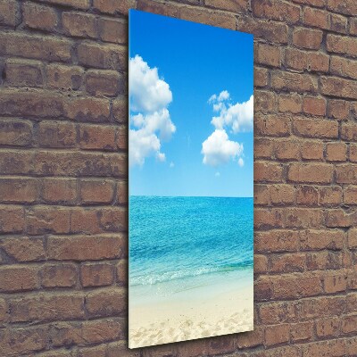 Foto obraz szklany pionowy Tropikalna plaża