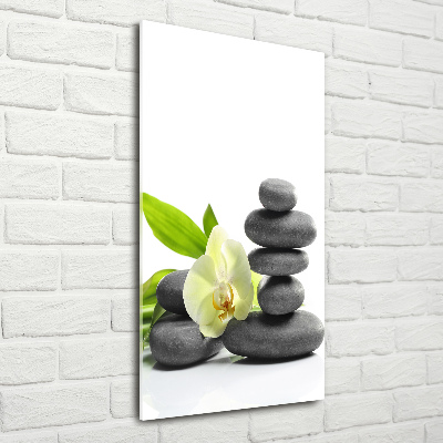 Foto obraz na szkle pionowy Orchidea i kamienie
