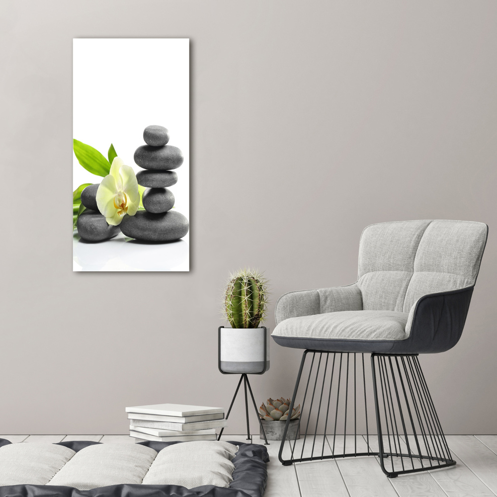 Foto obraz na szkle pionowy Orchidea i kamienie
