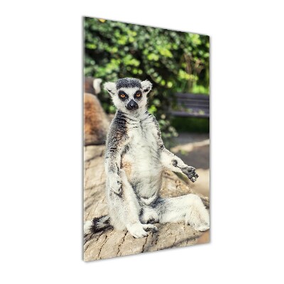 Fotoobraz szklany na ścianę do salonu pionowy Lemur