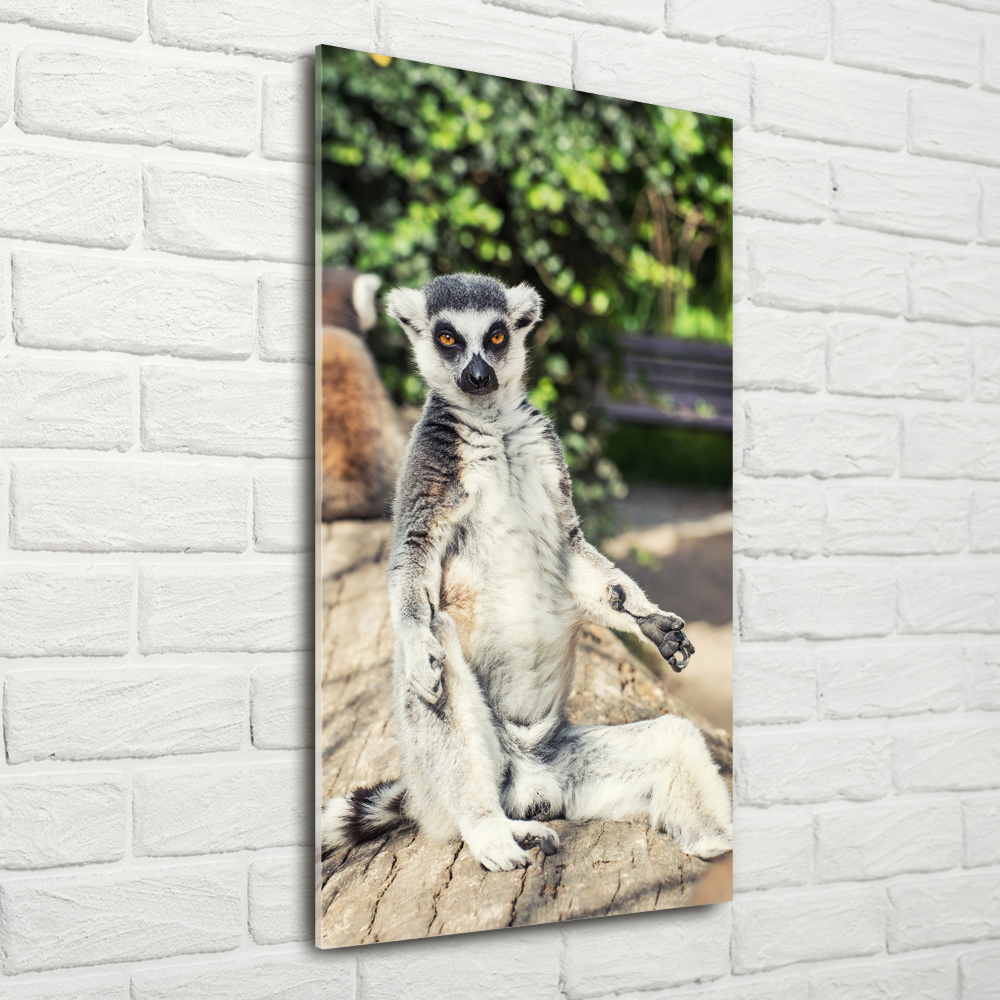 Fotoobraz szklany na ścianę do salonu pionowy Lemur
