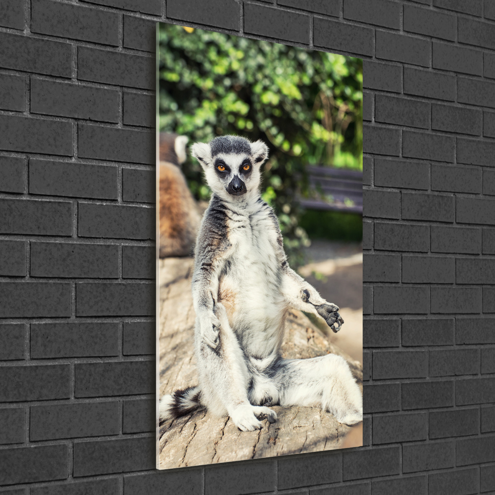 Fotoobraz szklany na ścianę do salonu pionowy Lemur
