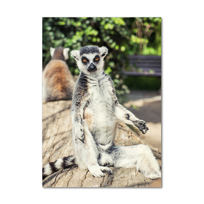 Fotoobraz szklany na ścianę do salonu pionowy Lemur