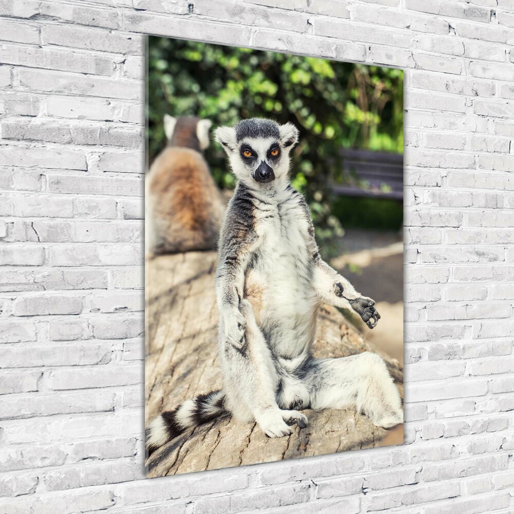 Fotoobraz szklany na ścianę do salonu pionowy Lemur