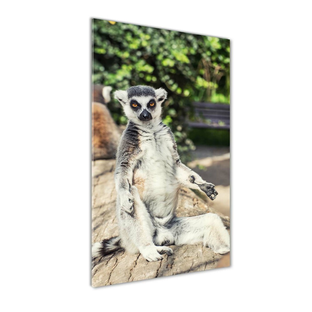 Fotoobraz szklany na ścianę do salonu pionowy Lemur