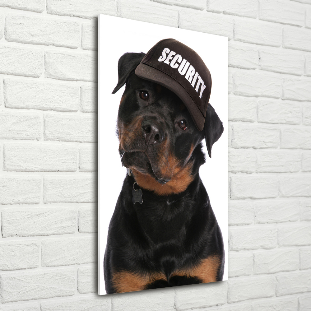Foto obraz na szkle pionowy Rottweiler w czapce