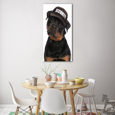 Foto obraz na szkle pionowy Rottweiler w czapce