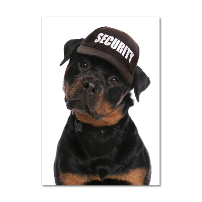 Foto obraz na szkle pionowy Rottweiler w czapce