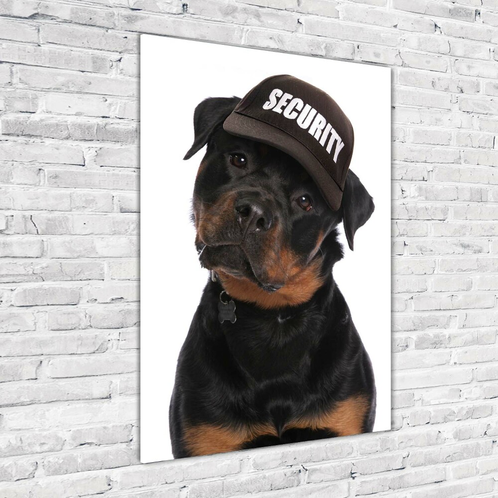 Foto obraz na szkle pionowy Rottweiler w czapce