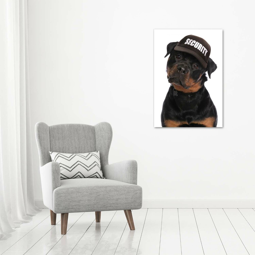 Foto obraz na szkle pionowy Rottweiler w czapce
