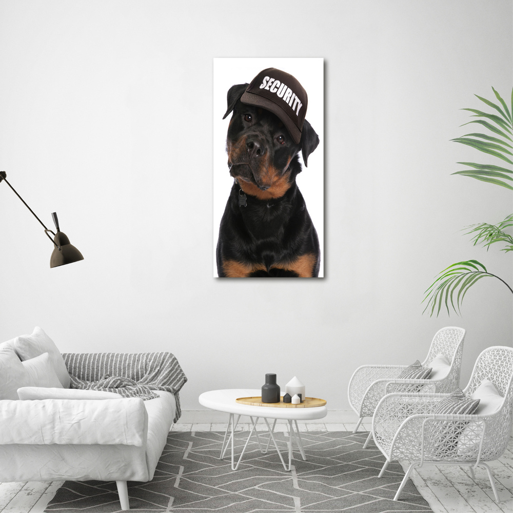 Foto obraz na szkle pionowy Rottweiler w czapce