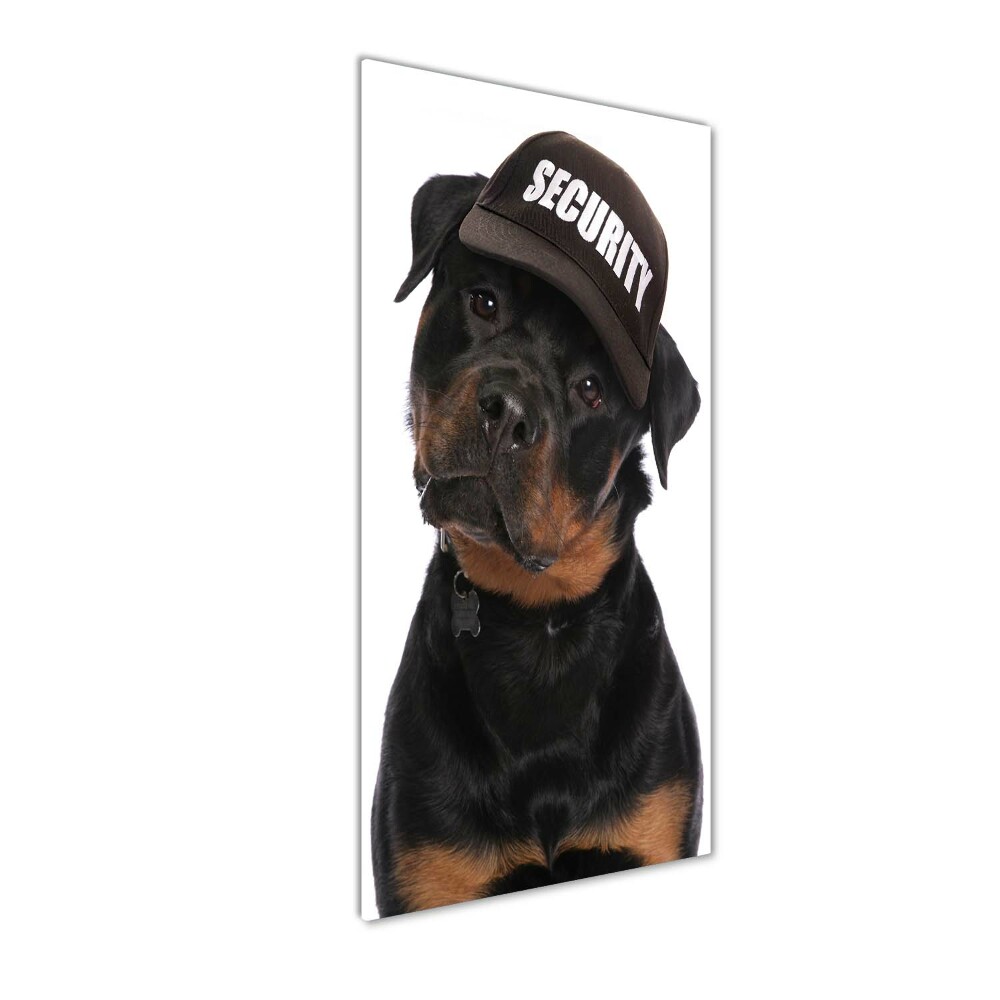 Foto obraz na szkle pionowy Rottweiler w czapce