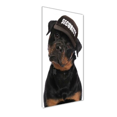 Foto obraz na szkle pionowy Rottweiler w czapce