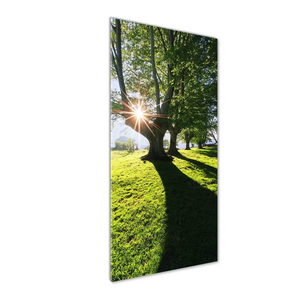 Nowoczesny foto obraz na ścianę pionowy Park