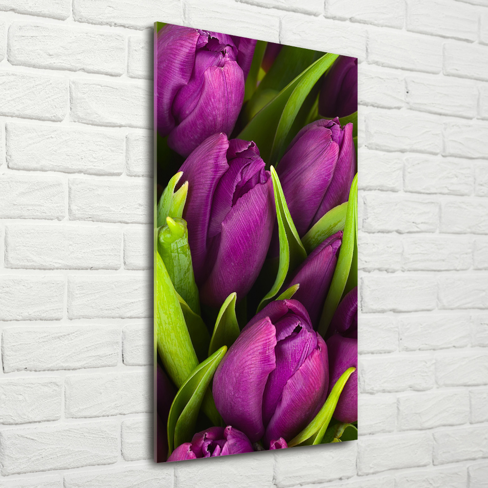 Foto obraz na szkle pionowy Fioletowe tulipany