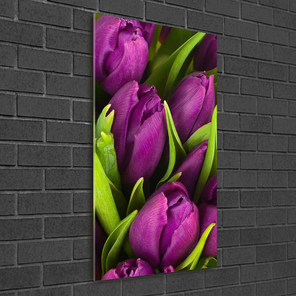 Foto obraz na szkle pionowy Fioletowe tulipany