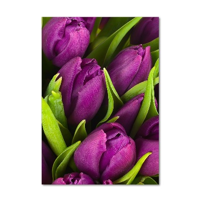 Foto obraz na szkle pionowy Fioletowe tulipany