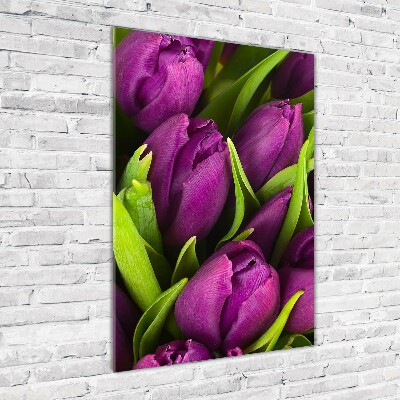 Foto obraz na szkle pionowy Fioletowe tulipany